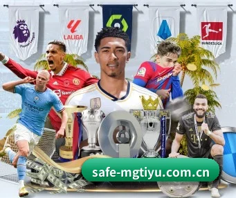 safe-mgtiyu.com.cn APP